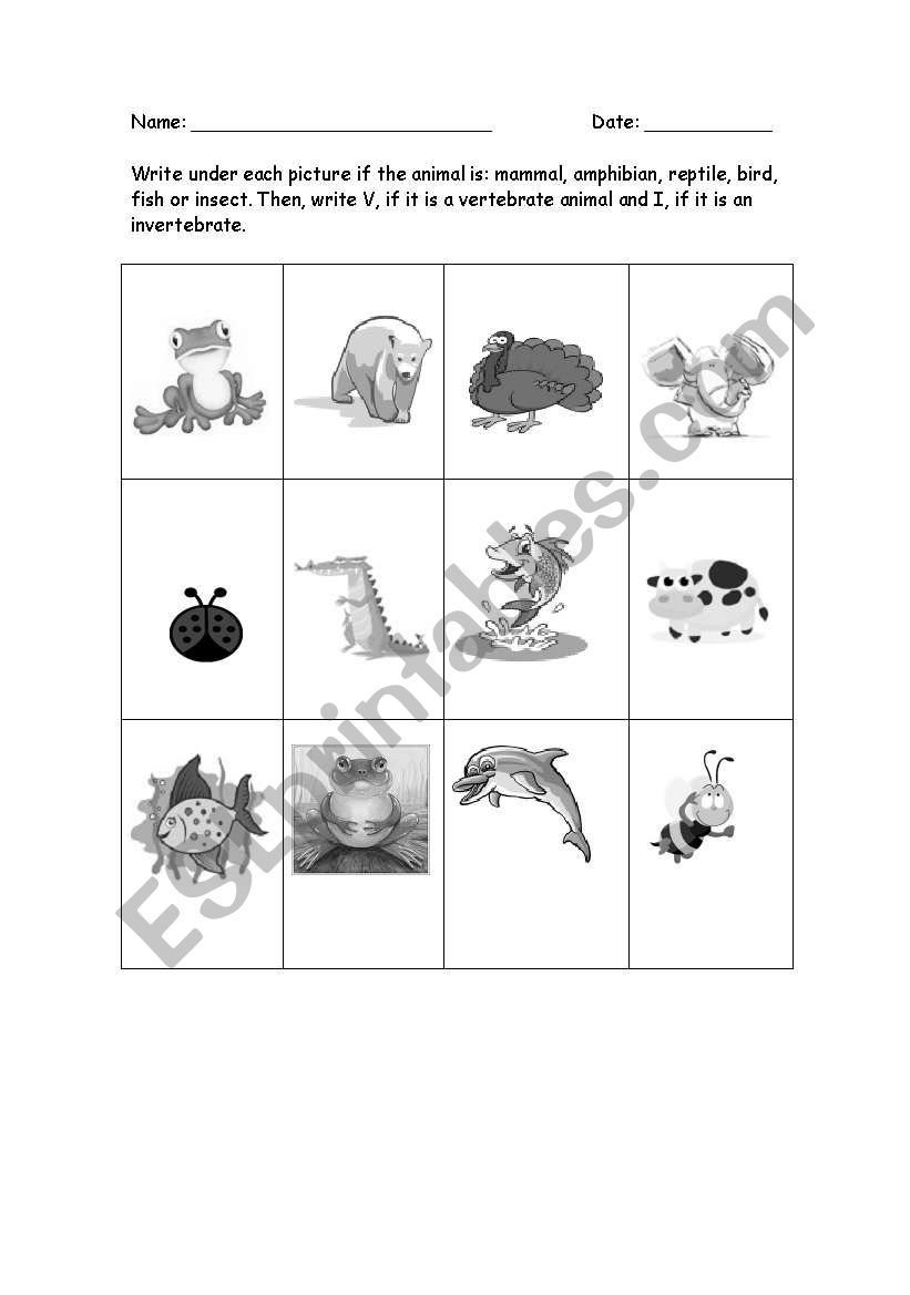 Classify animals worksheet