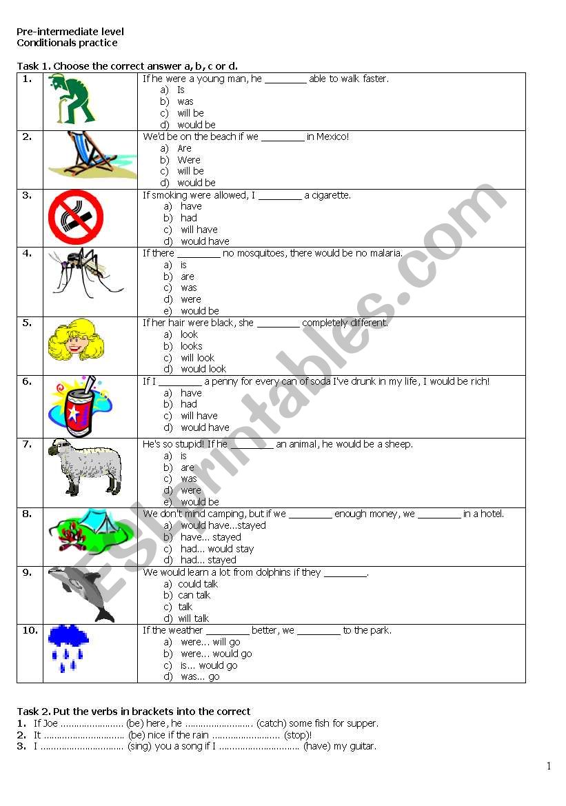 Conditionals First and second worksheet