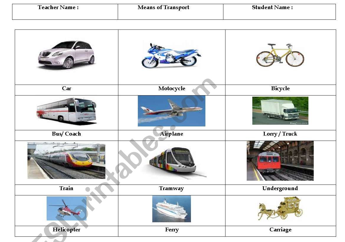 Means of transports worksheet