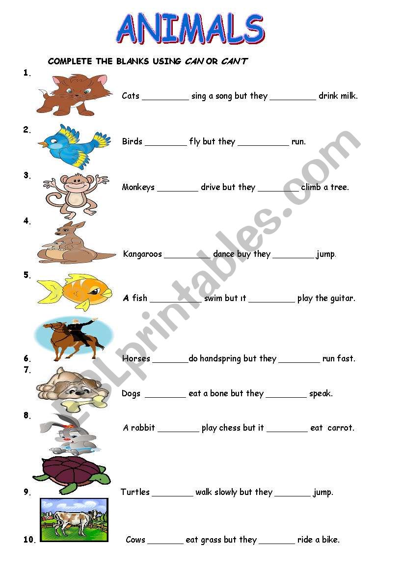 ability worksheet