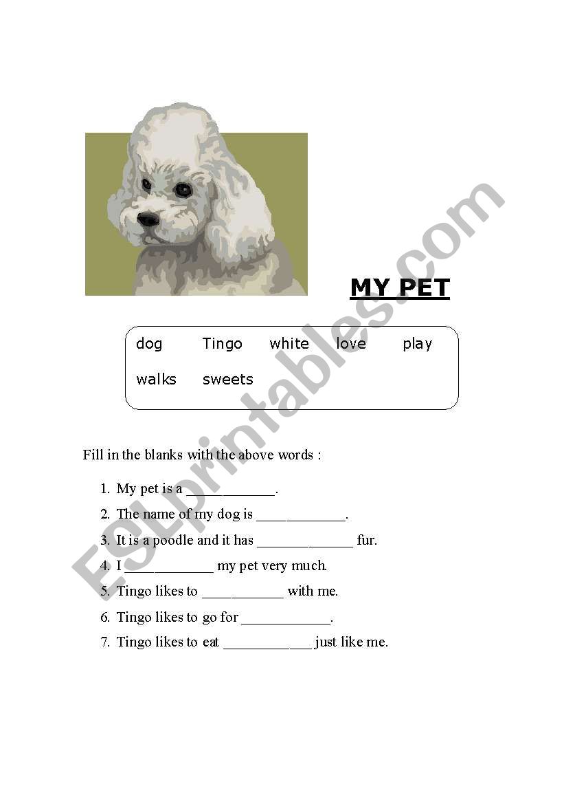 My pet worksheet