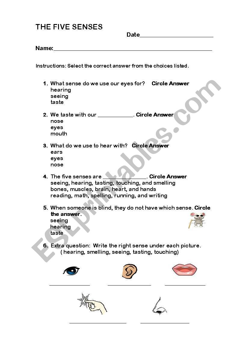 Five senses quiz worksheet