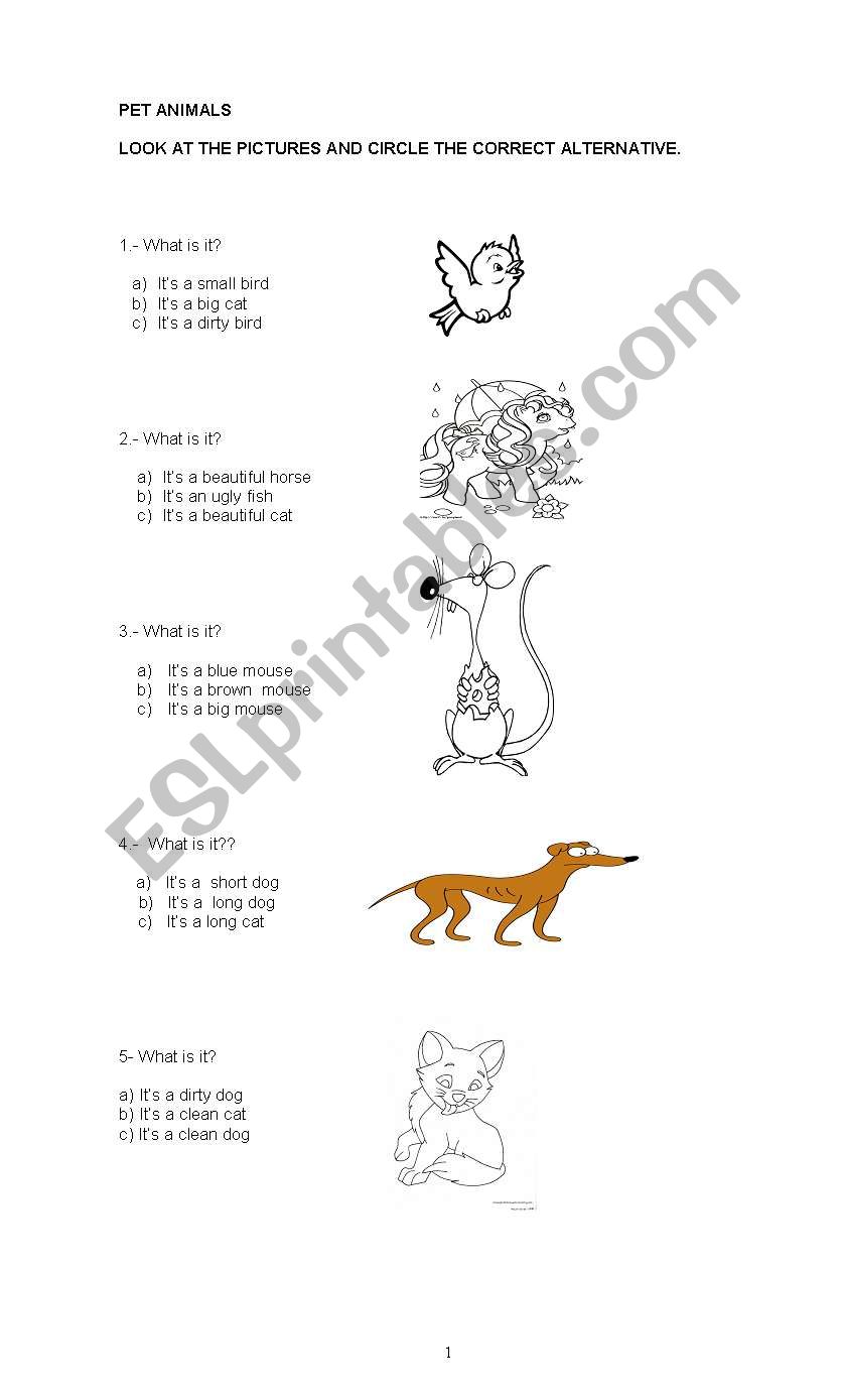 Pet Animals worksheet