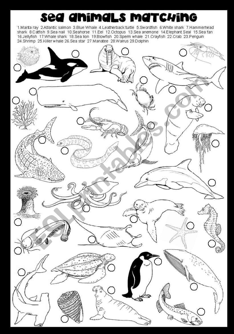 SEA ANIMALS MATCHING  worksheet