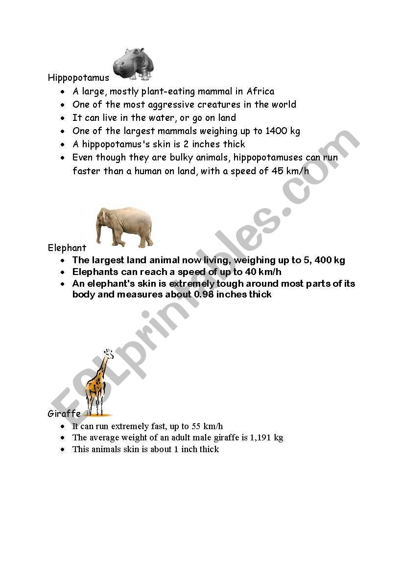 animal facts worksheet