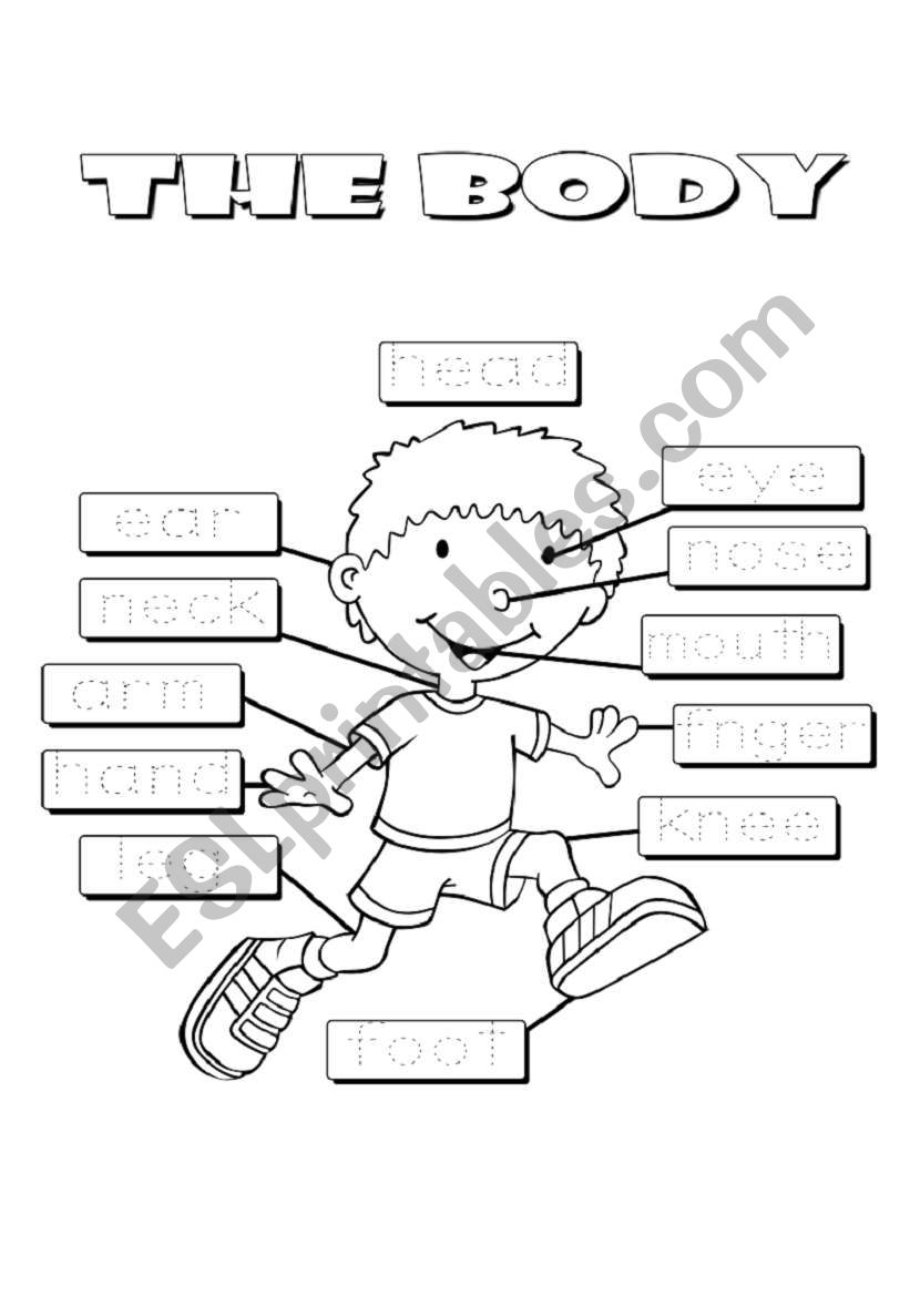 The body worksheet