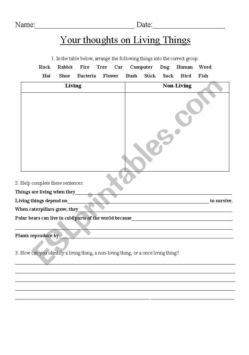 Living Things worksheet