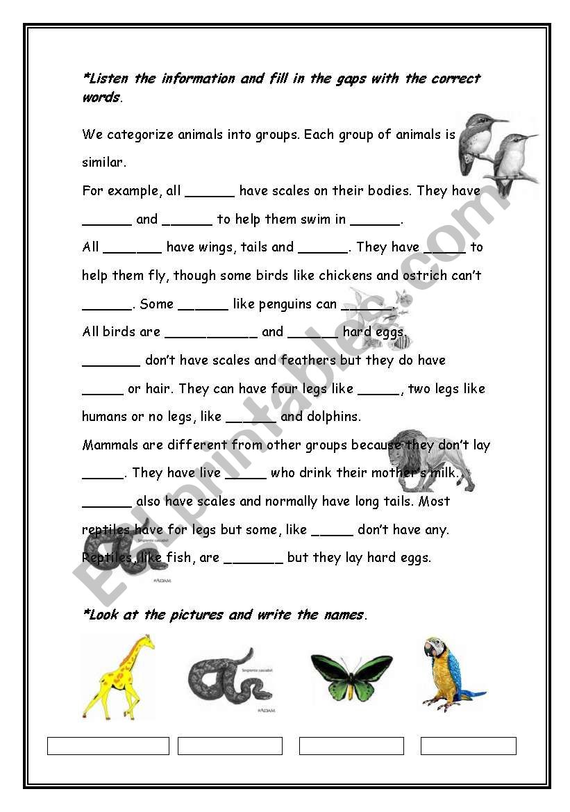 Animals world worksheet