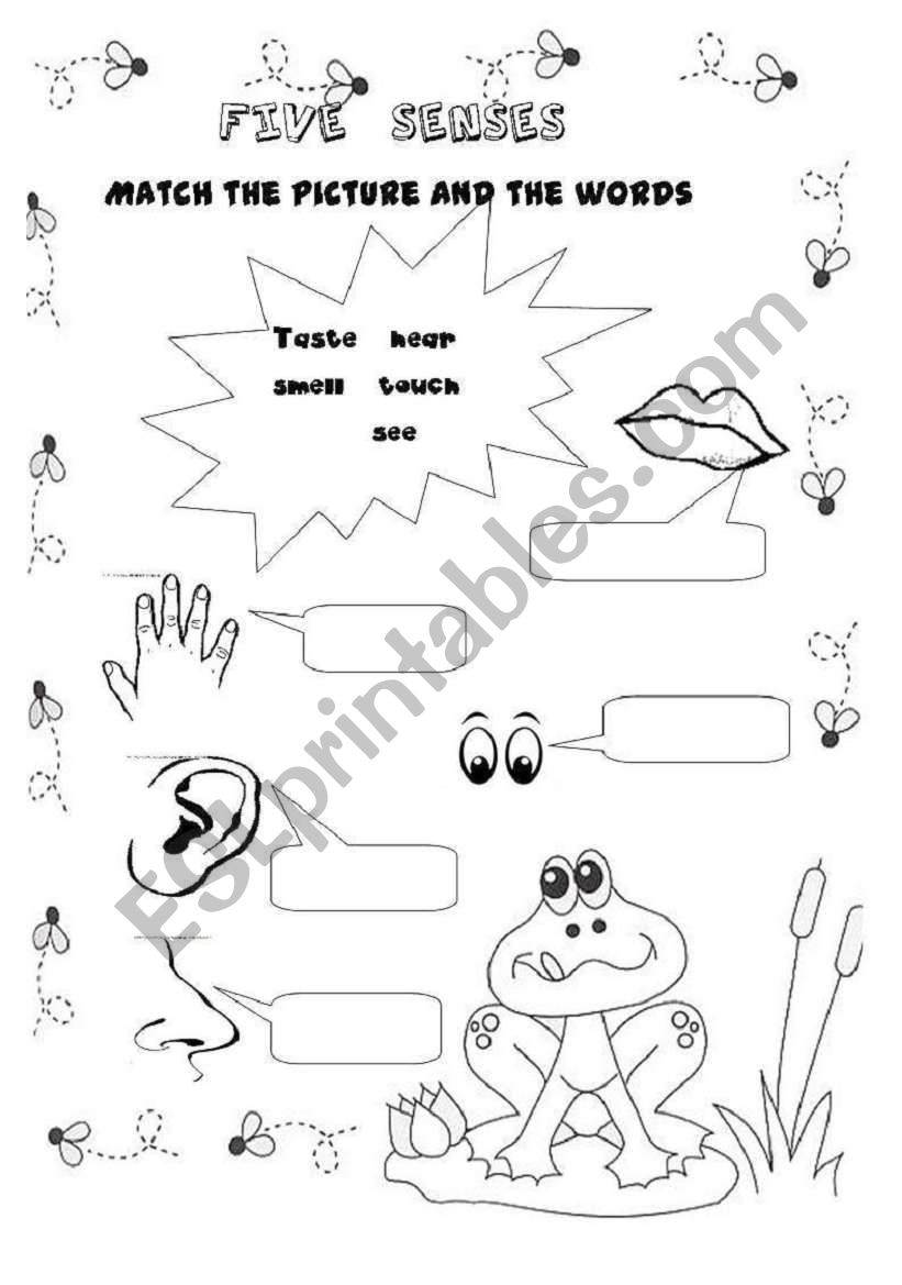 five senses worksheet