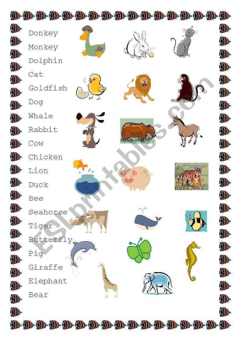 Animals worksheet