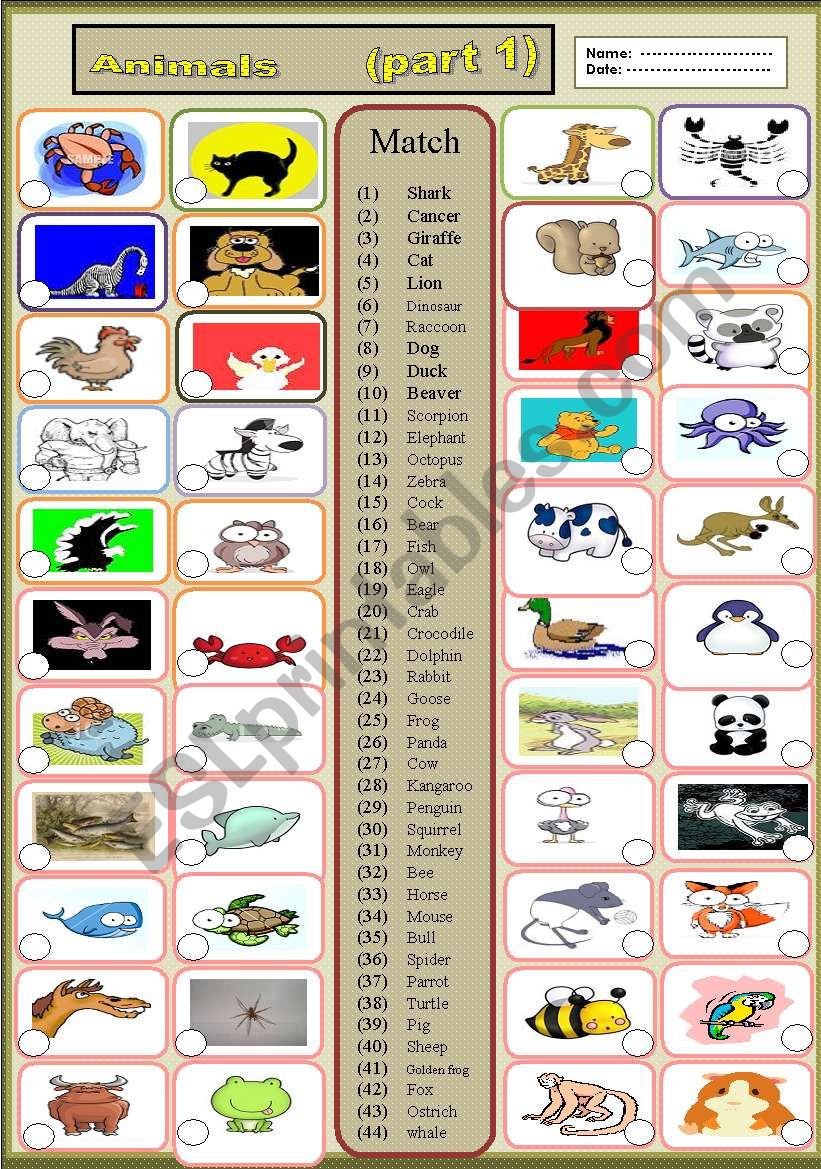 animals  (part 1) worksheet