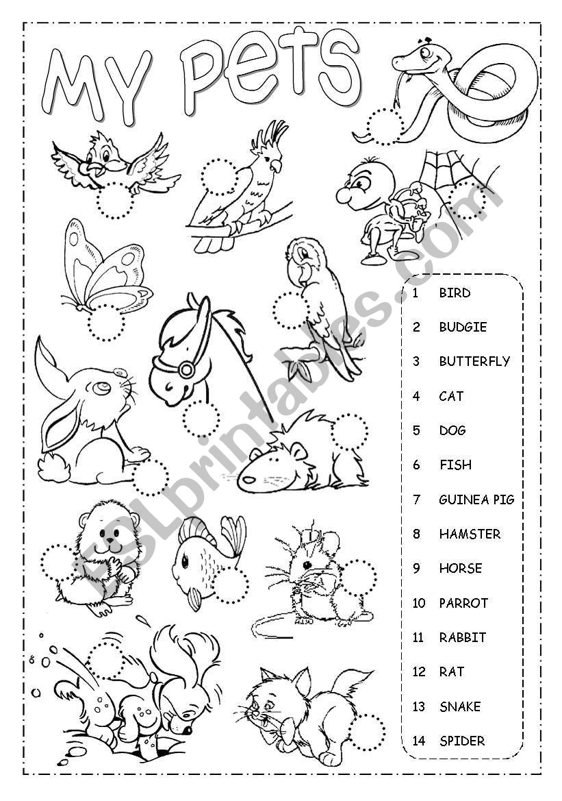 Pets Pictionary worksheet