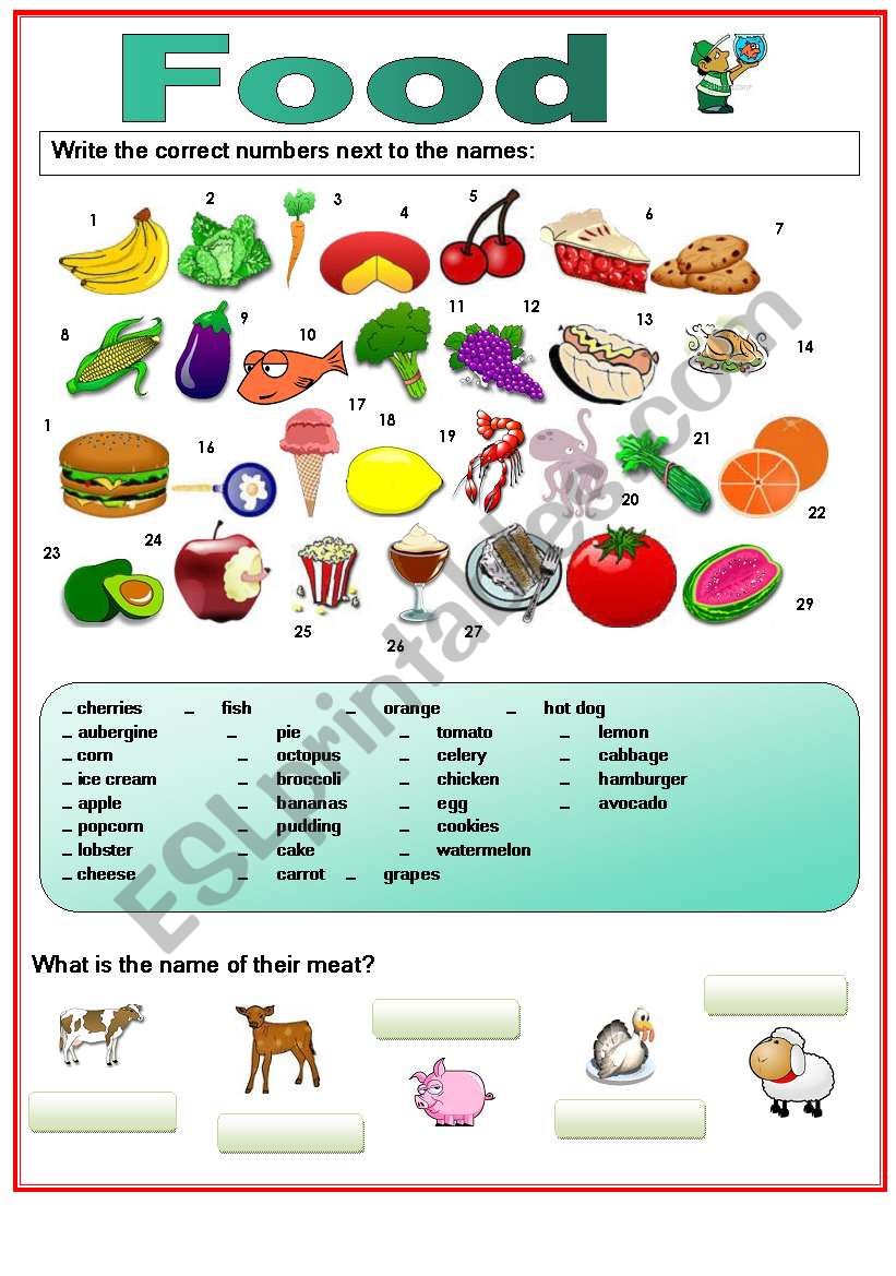 Food worksheet