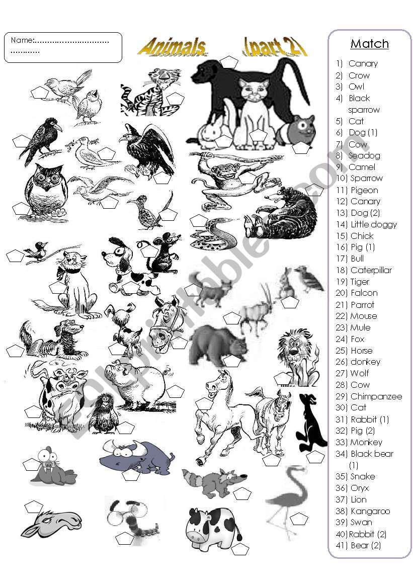 animals   (part 2) worksheet