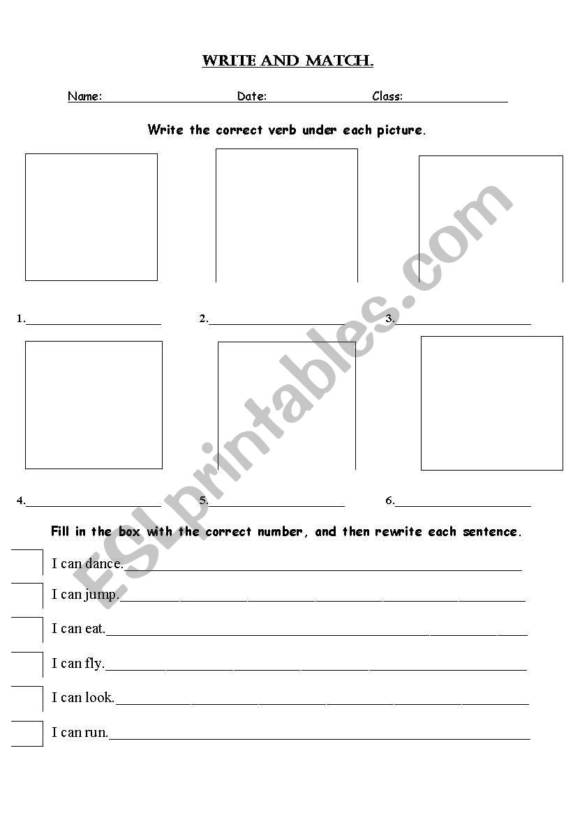 Verb Write and Match worksheet