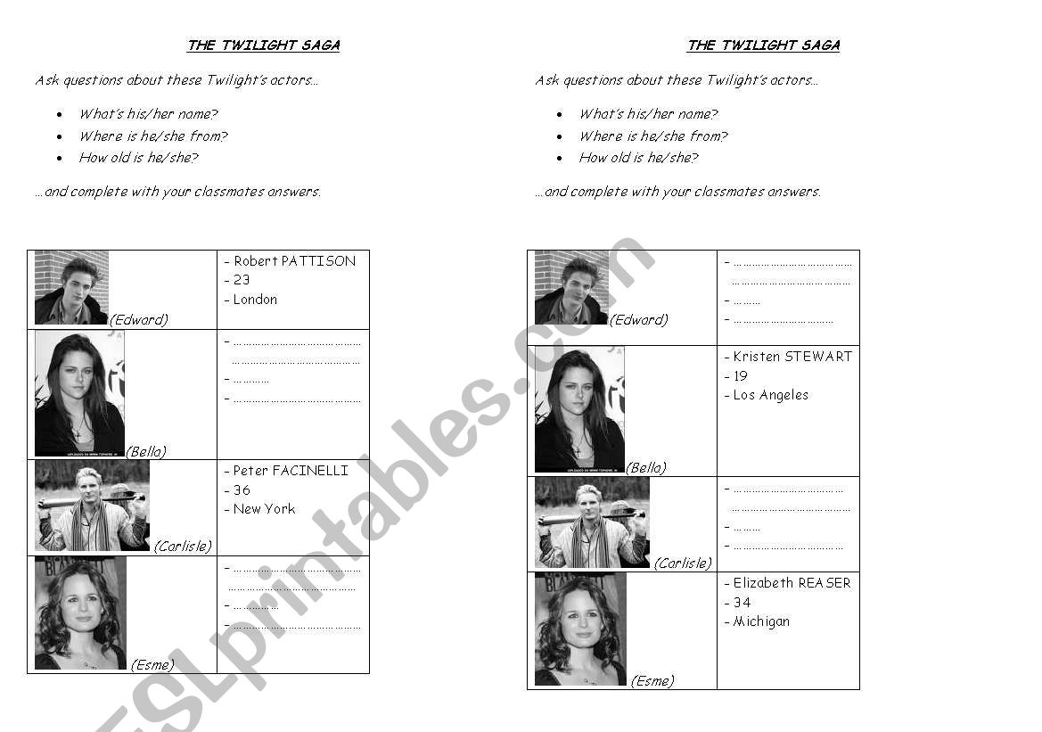 TWILIGHT PAIR WORK worksheet