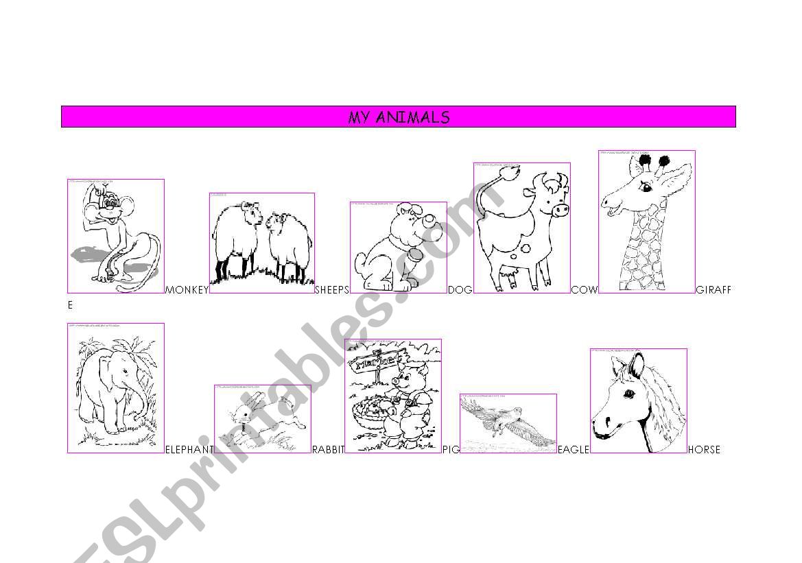 MY ANIMALS worksheet