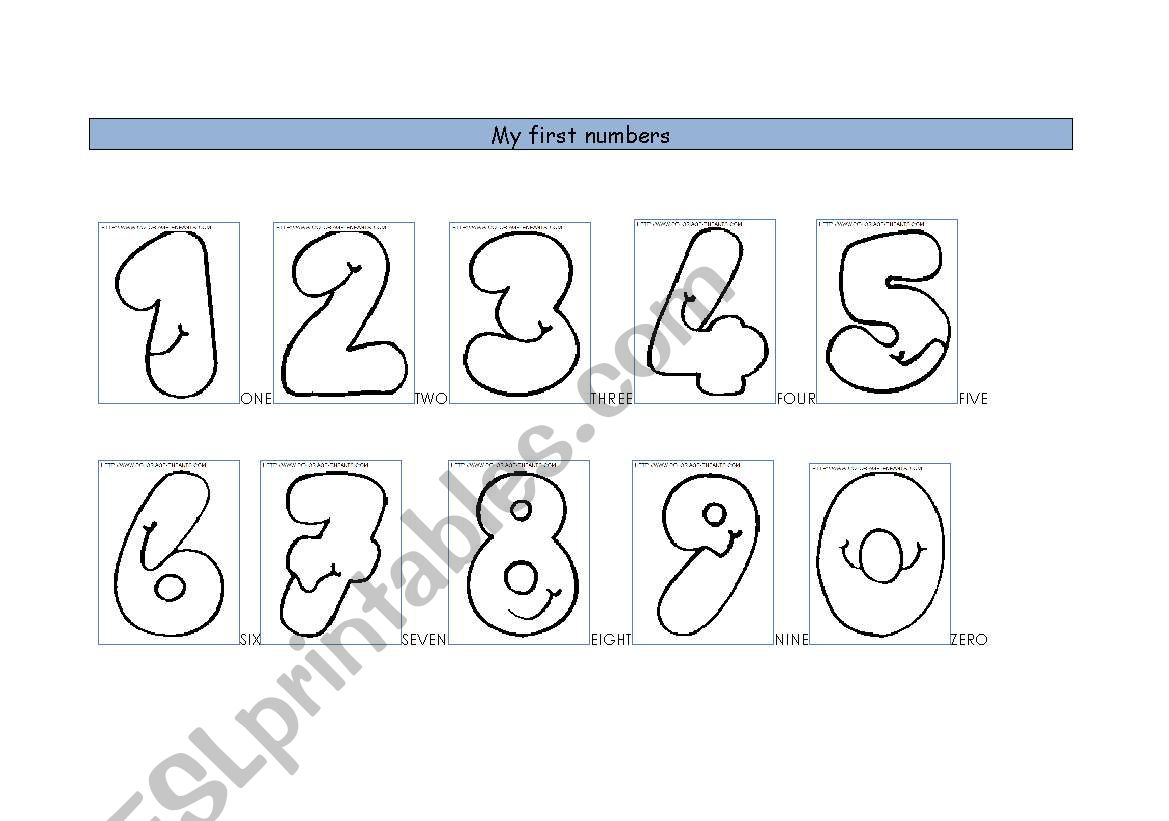 MY FIRST NUMBERS worksheet