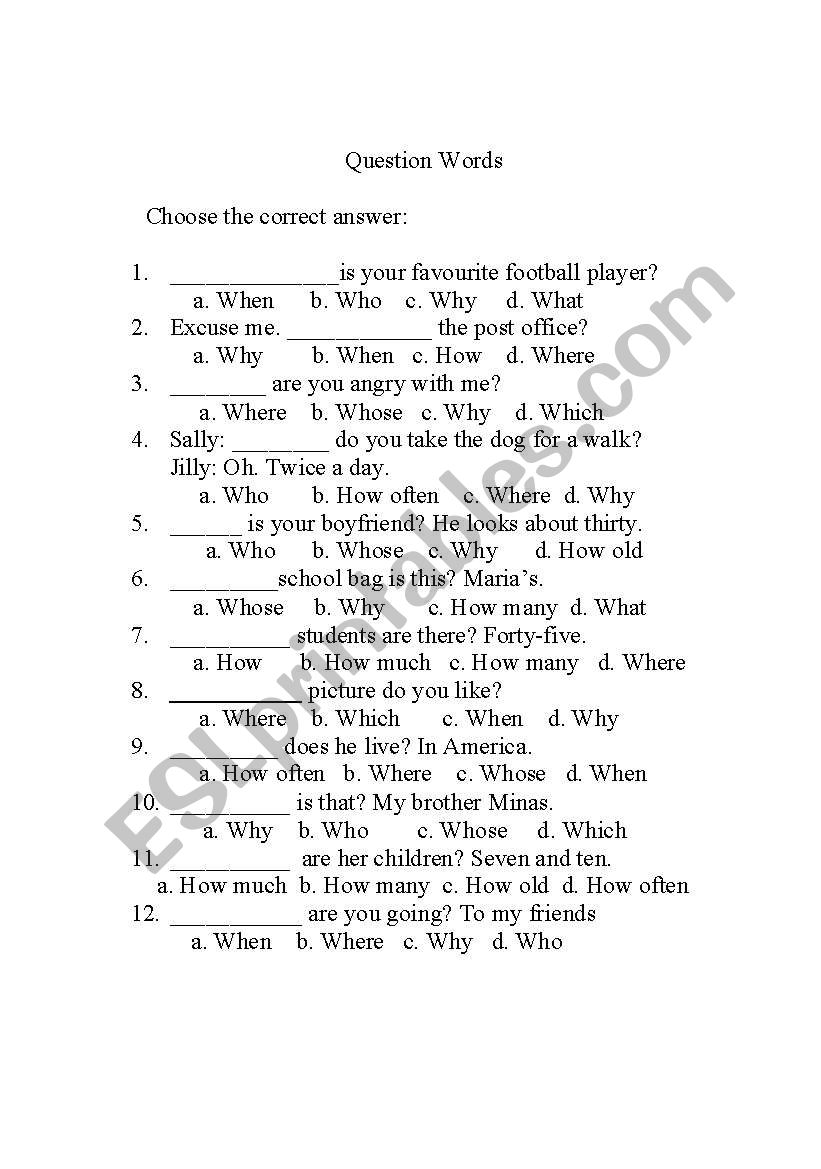 question words worksheet