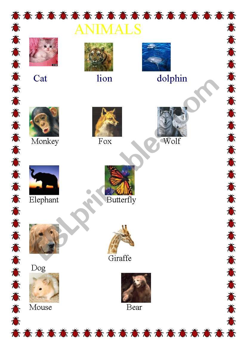 ANIMALS WITH PICTURES-3 PAGES worksheet