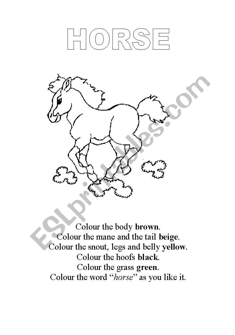 English worksheets: horse