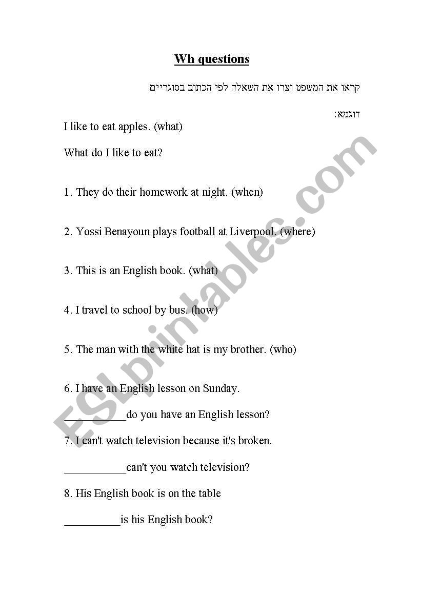 wh questions worksheet