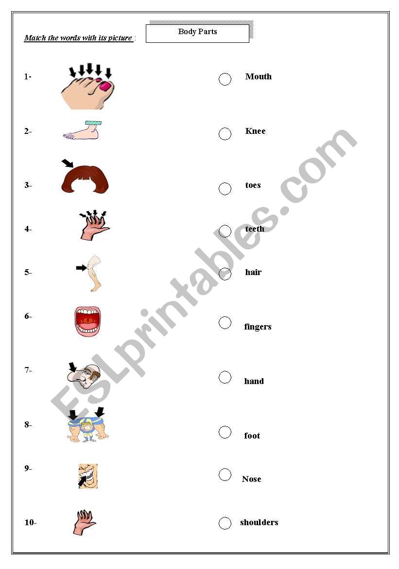 body parts worksheet