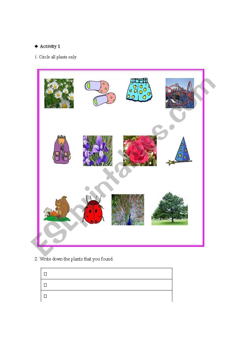 plants worksheet