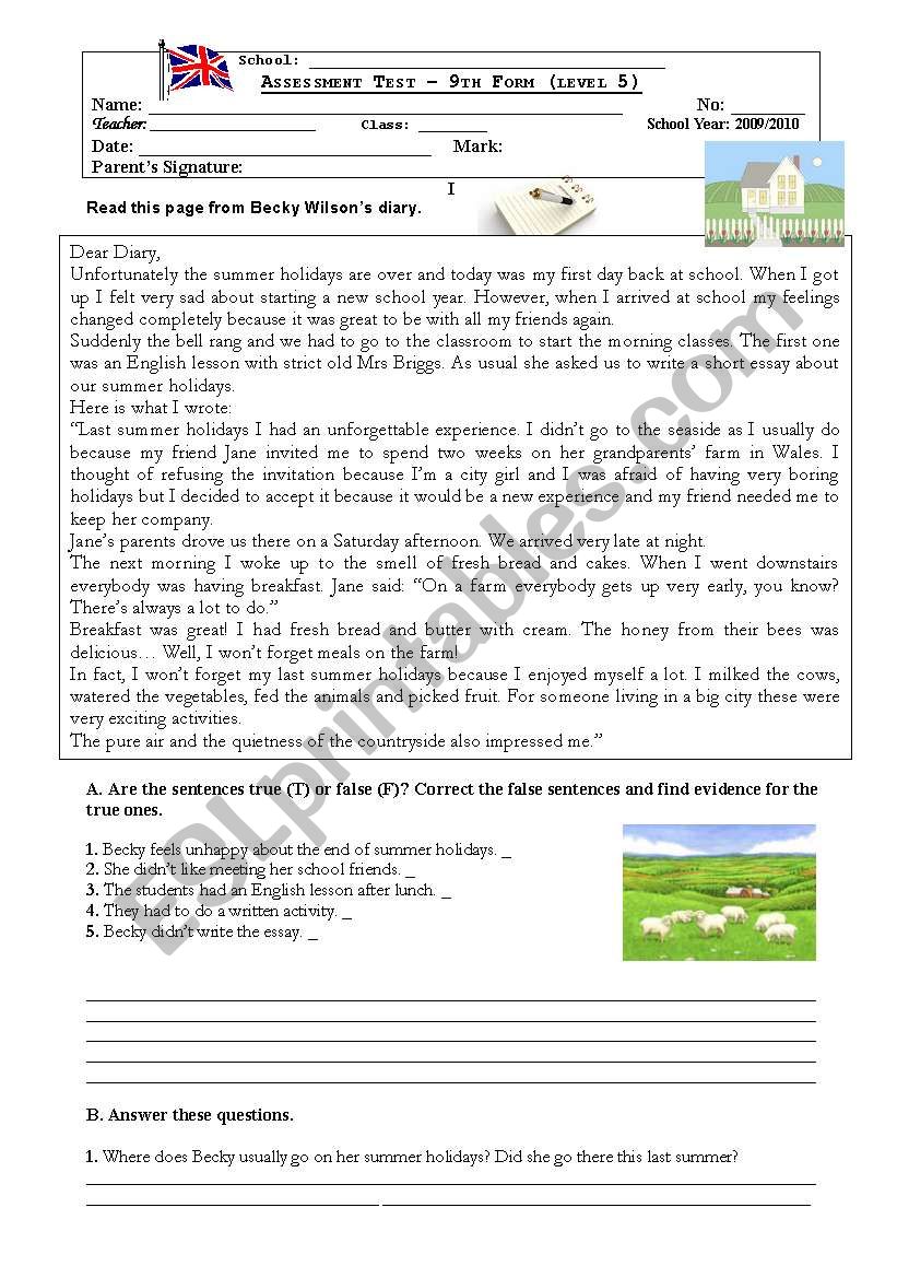 Holidays Diary test worksheet