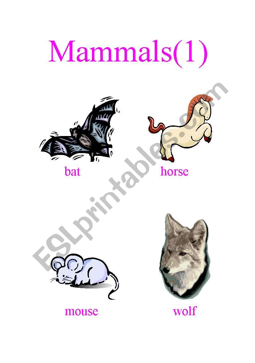 Mammals (1) worksheet