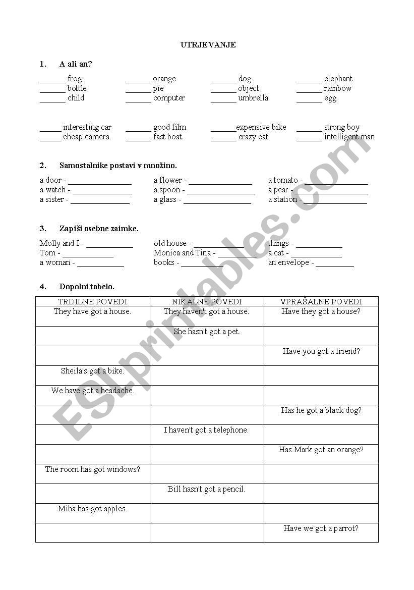 a, an and plural form worksheet