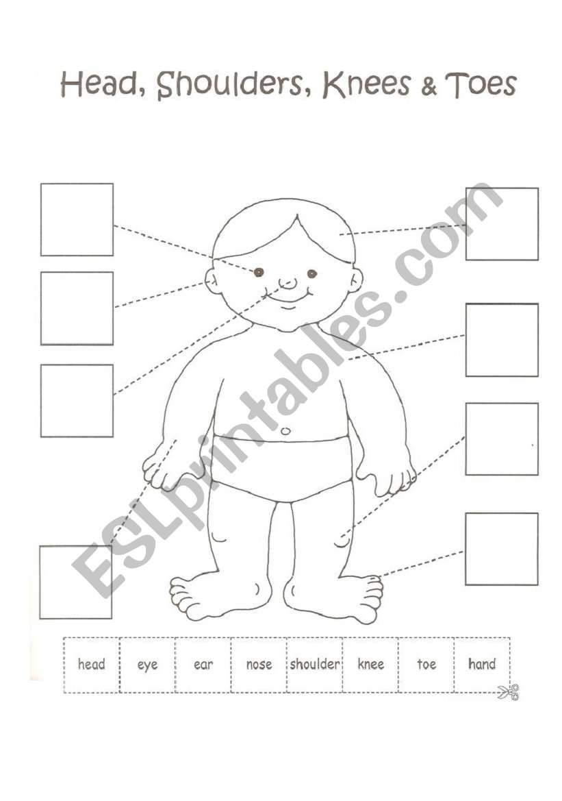 Download Body parts coloring, cut and paste (work with a song) - ESL worksheet by csmada