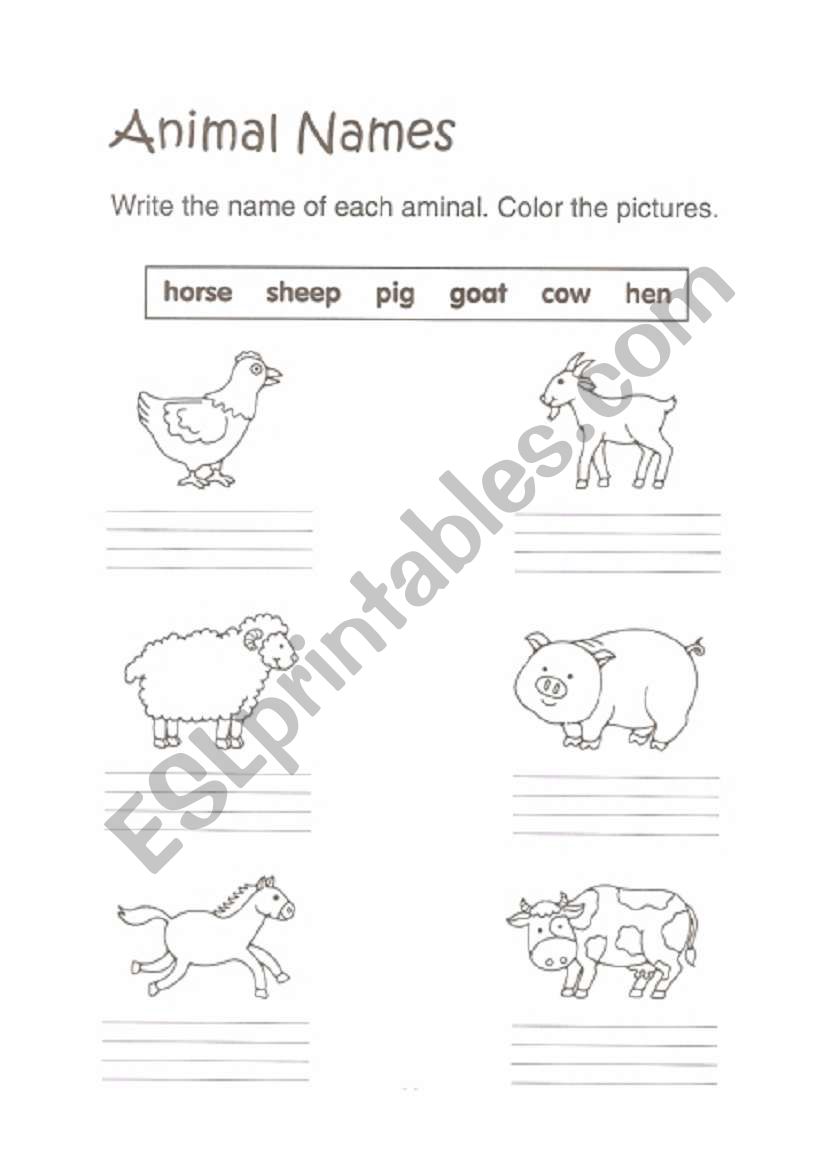 Animal names writing practice worksheet