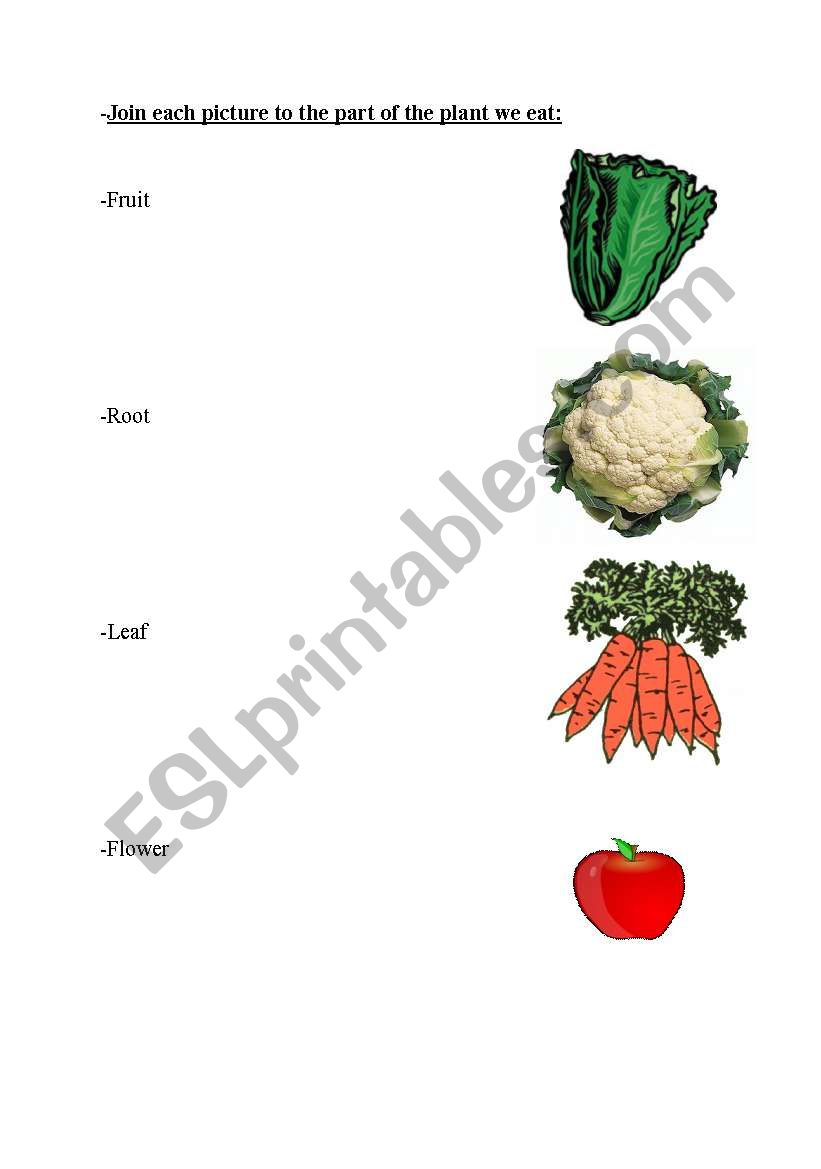 plant websites for elementary students