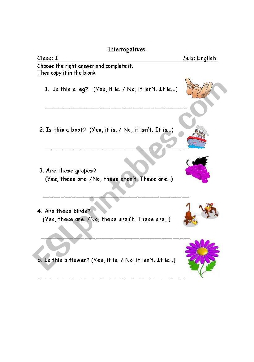 questions worksheet