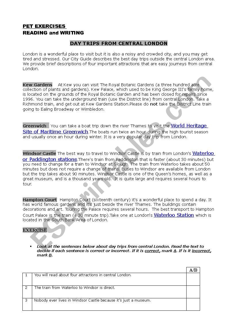 PET EXERCISES 1 worksheet