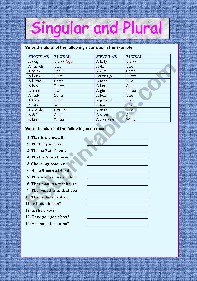 SINGULAR AND PLURAL worksheet