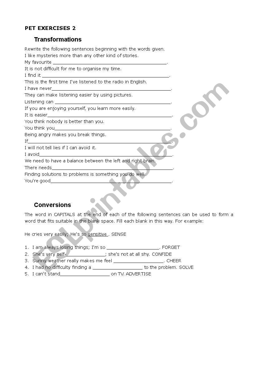 PET EXERCISES 2 worksheet