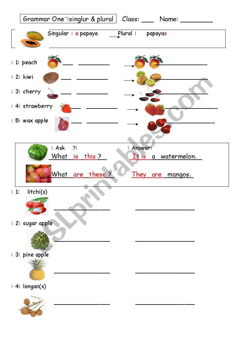 fruit singular plural worksheet