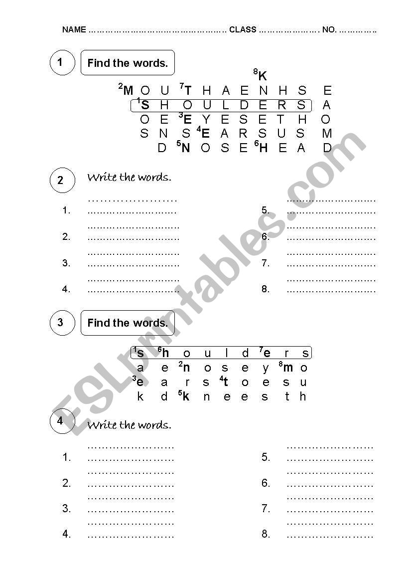 MY BODY worksheet