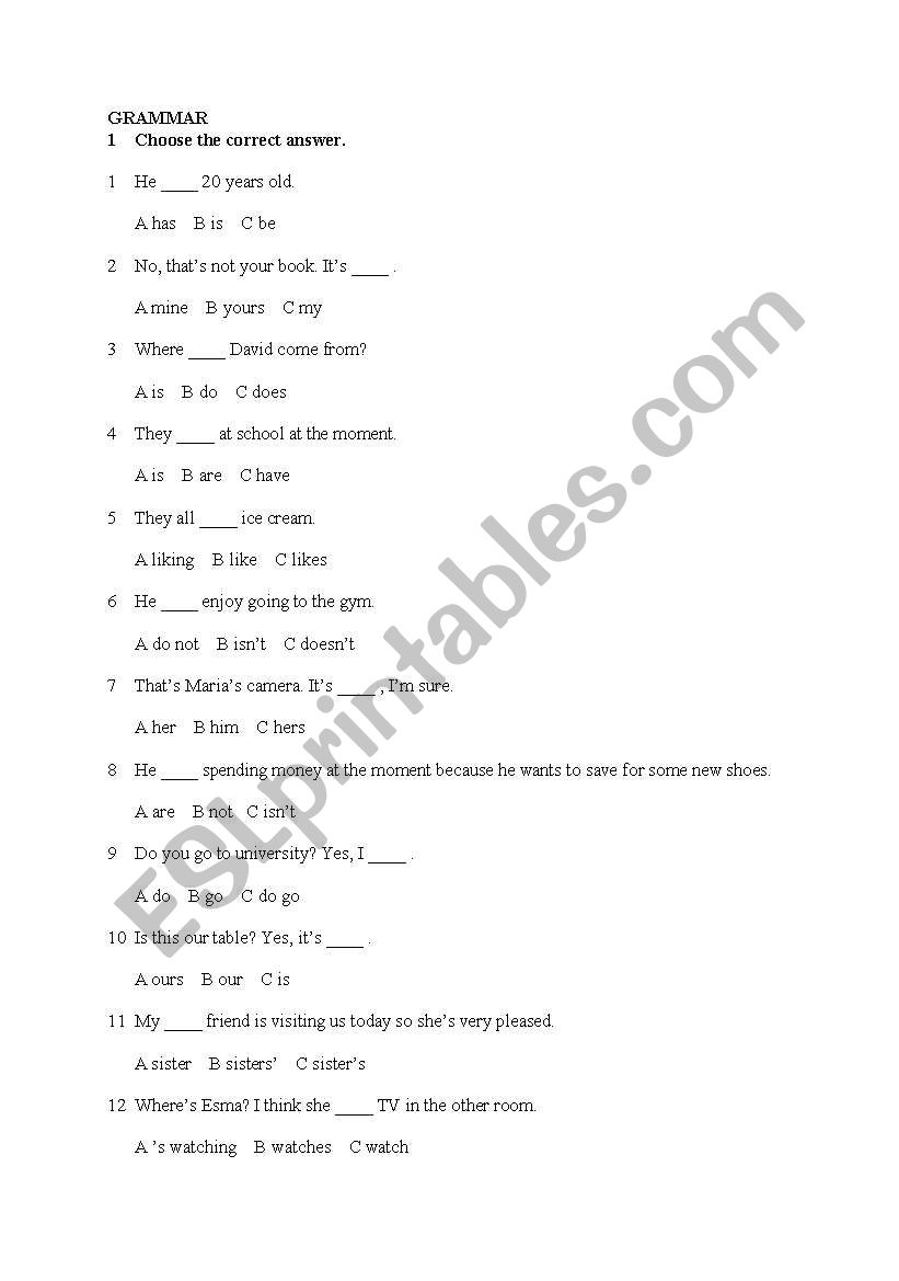 grammar worksheet