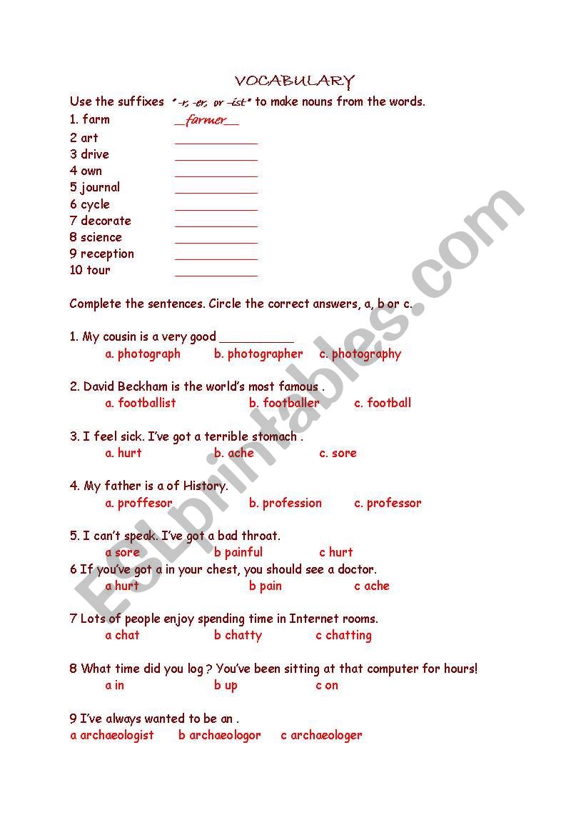 vocabulary worksheet