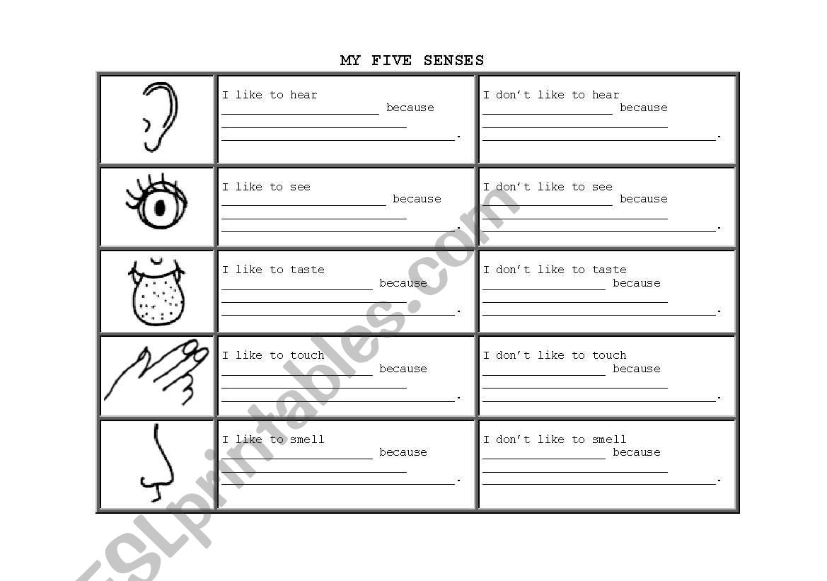 My 5 Senses worksheet