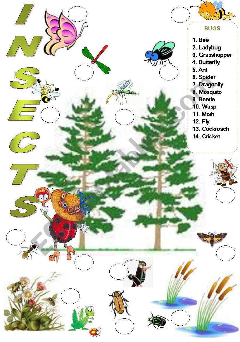 INSECTS worksheet