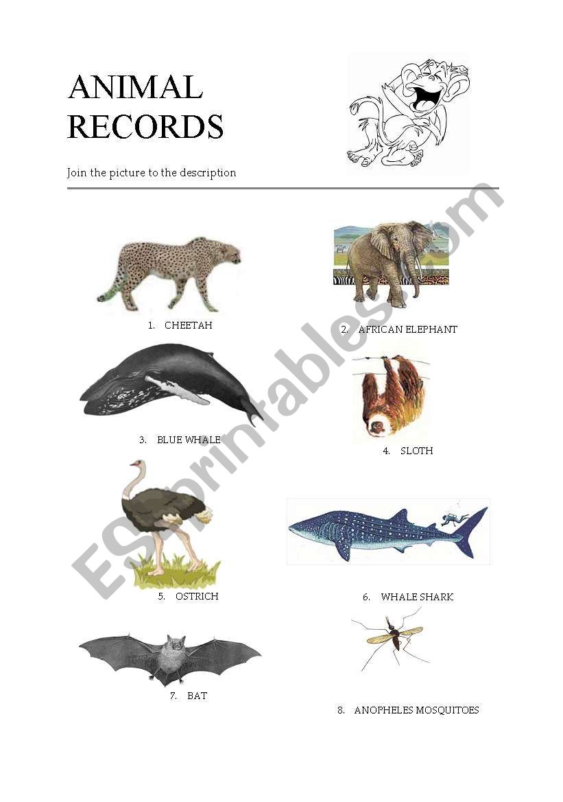 Animal records  worksheet