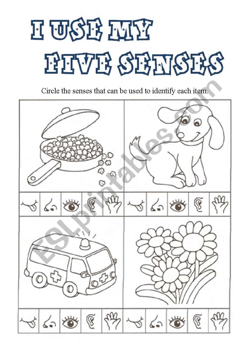 I use my FIVE SENSES worksheet