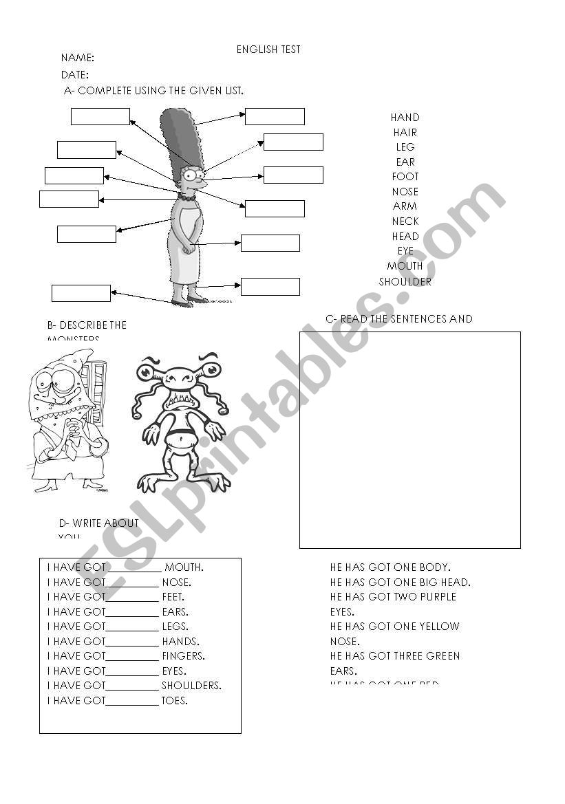 Test - body parts worksheet