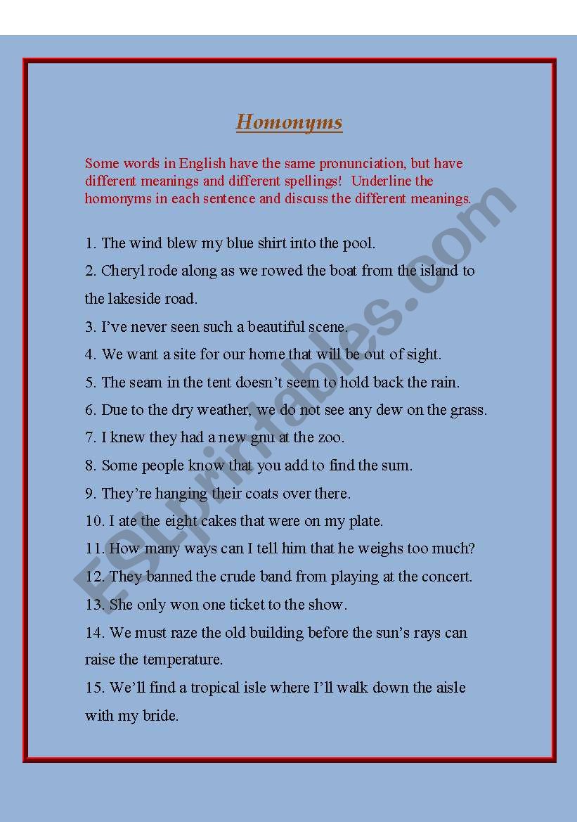 English Homonyms worksheet