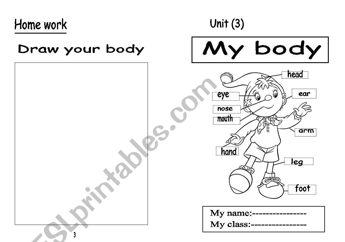 My body worksheet