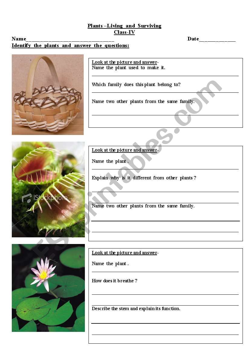 plants livin and surviving-2 worksheet